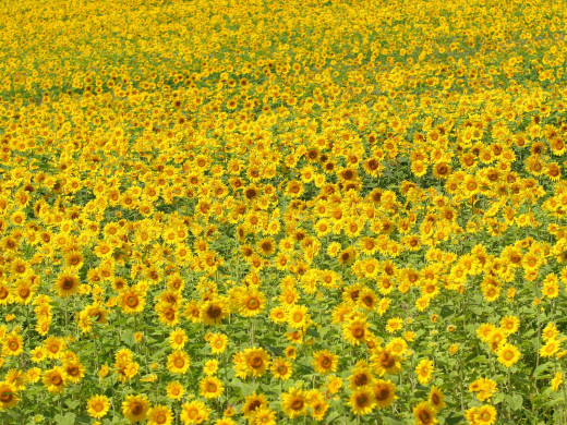 588908 (a): :1600x1200